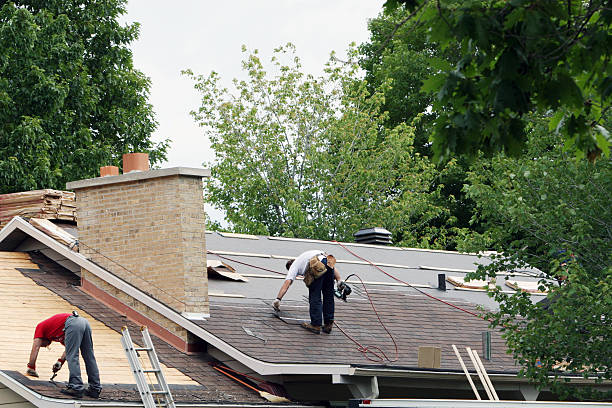 Professional Roofing Contractor in Park Ridge, IL