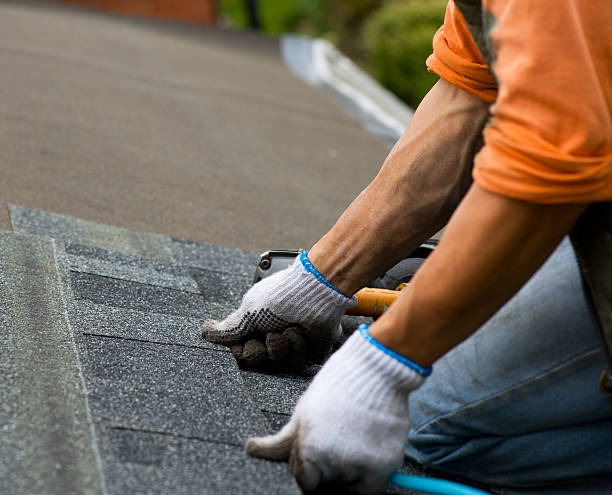 Best Roof Gutter Cleaning  in Park Ridge, IL